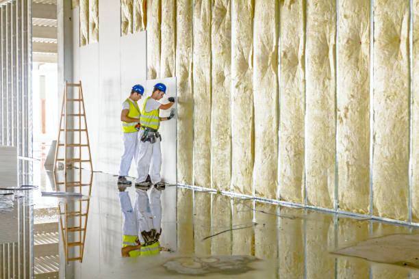 Best Wall Insulation Installation  in Clarion, IA